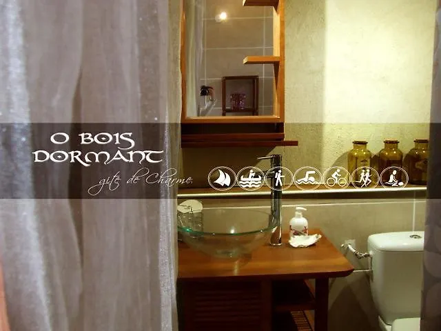 O Bois Dormant- Studio Vue Rance River Et Viaduc De Dinan Lanvallay Holiday home